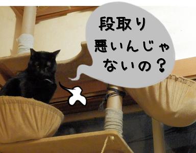 段取り.JPG