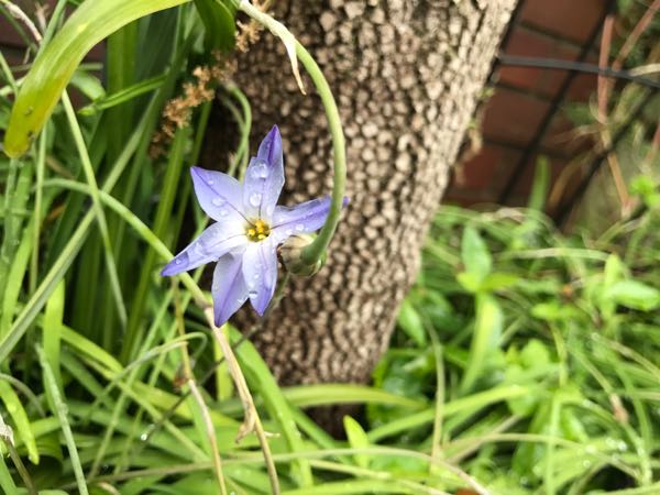 rblog-20170429153020-03.jpg