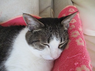IMG_9413ss.jpg
