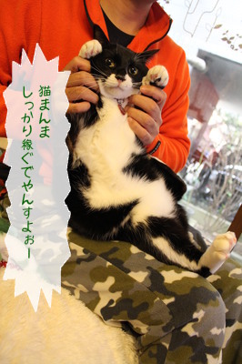 20121226104948_w_266_h_400_911523.jpg