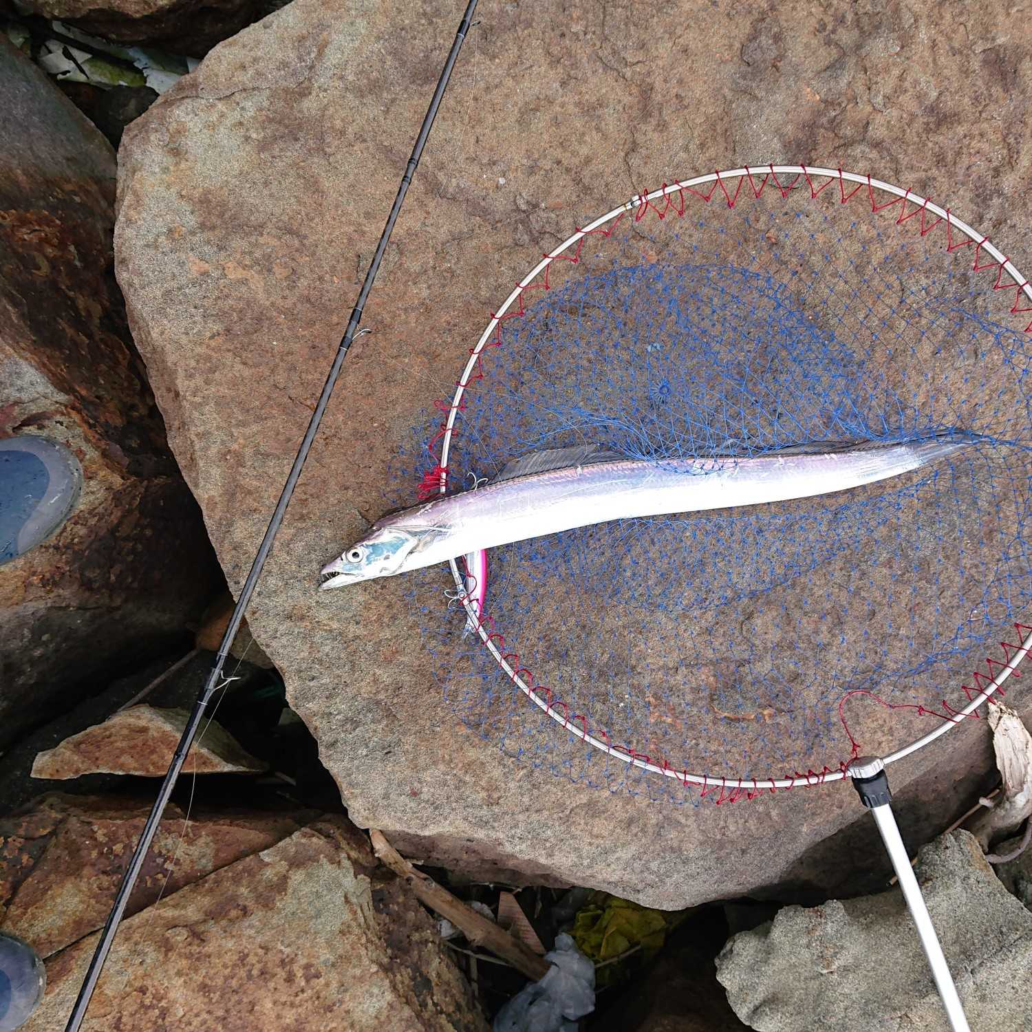 釣行 コチタローの今日も釣れない でもやっぱ釣りが好き Q 楽天ブログ