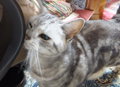 DSCF8350.jpg
