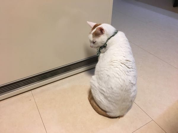 rblog-20181213063027-01.jpg