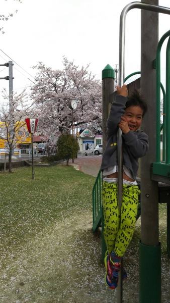 桜