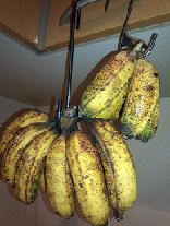 banana.JPG