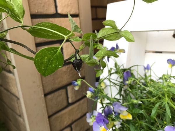 rblog-20180429182659-08.jpg