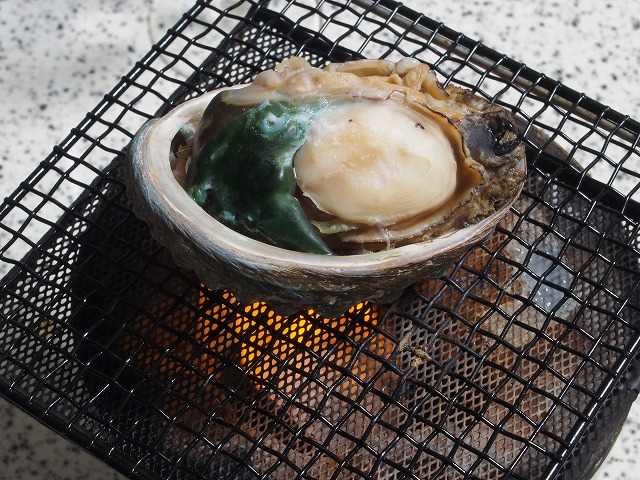P6110038.jpg