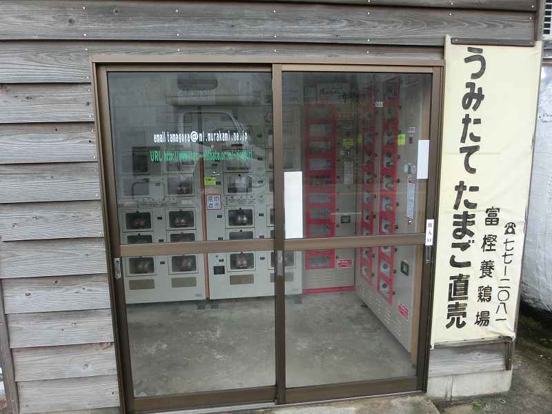 CIMG2365.jpg