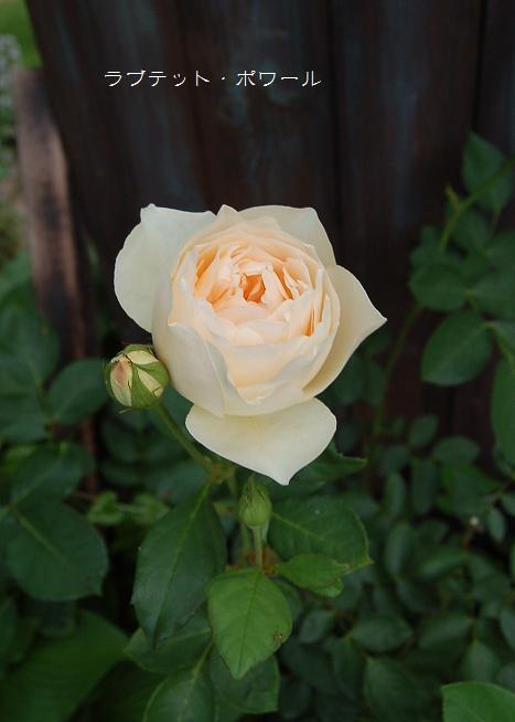 DSC_0573.JPG