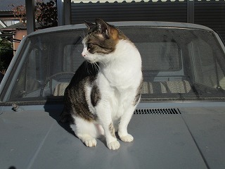 IMG_0774ss.jpg