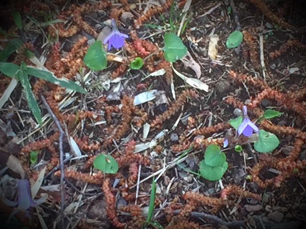 rblog-20160406132454-03.jpg