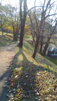 駐車場の上まで