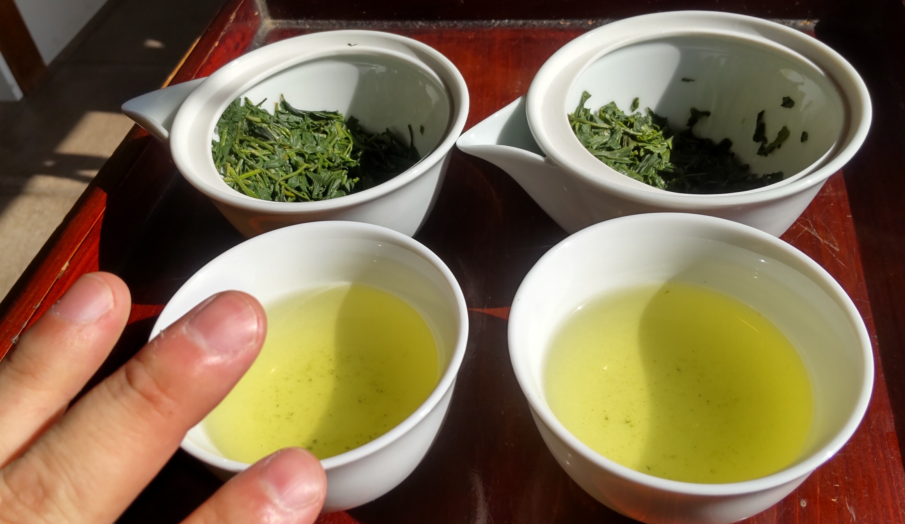 2024/11/4 大垣ミドリバシ 抹茶珈琲姉妹出店 煎茶2種類飲み比べセット