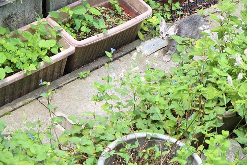 IMG_2536 - コピー.JPG