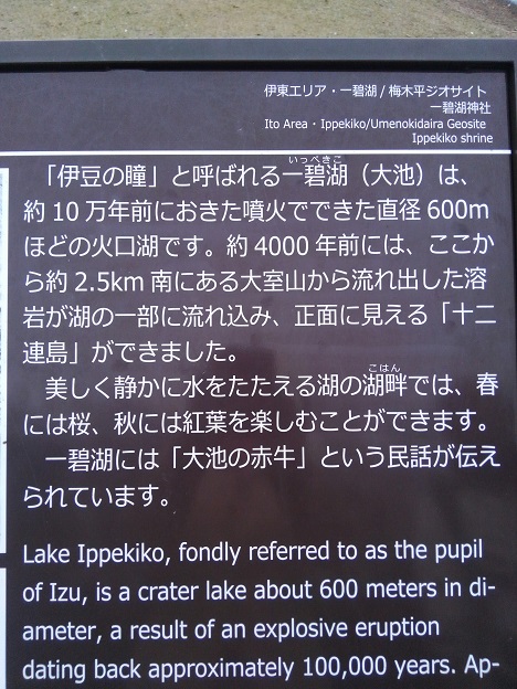 いっぺきこ