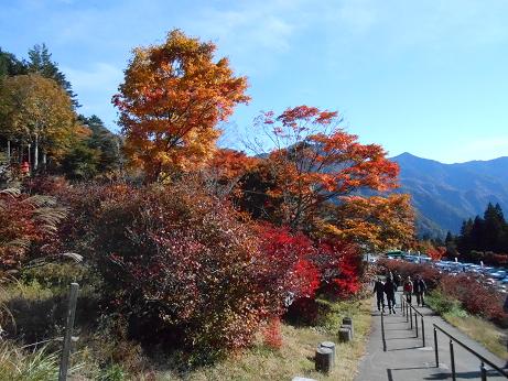DSCN0636.jpg