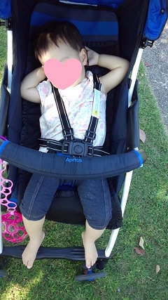 PAP_0011 - コピー.JPG