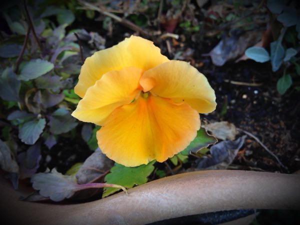 rblog-20141231141053-02.jpg