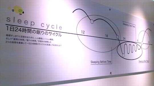 睡眠のサイクル