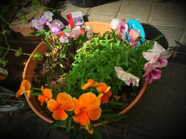 rblog-20150430203418-01.jpg