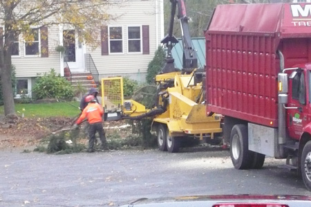 Sandy04.jpg