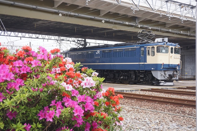 DE10 1654牽引 田端チキ工臨 & EF65 1102牽引 八王子チキ工臨5