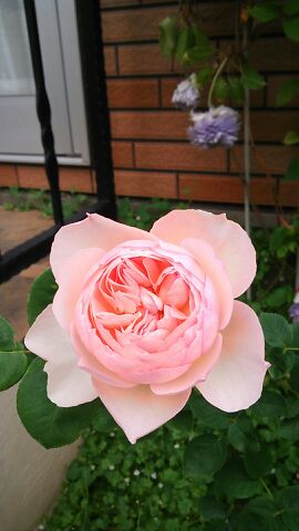 rblog-20140516220439-03.jpg
