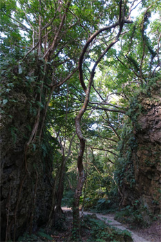 沖縄289.jpg