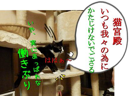 P1060054.JPG