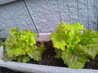 rblog-20140320090525-00.jpg