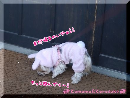 いやぁ