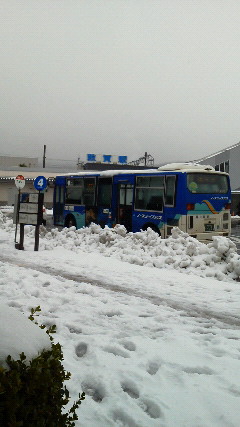 201212111139000.jpg