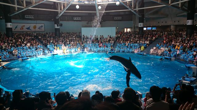 2015-08-23 10.35.30.jpg