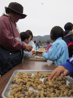 落花生食.JPG