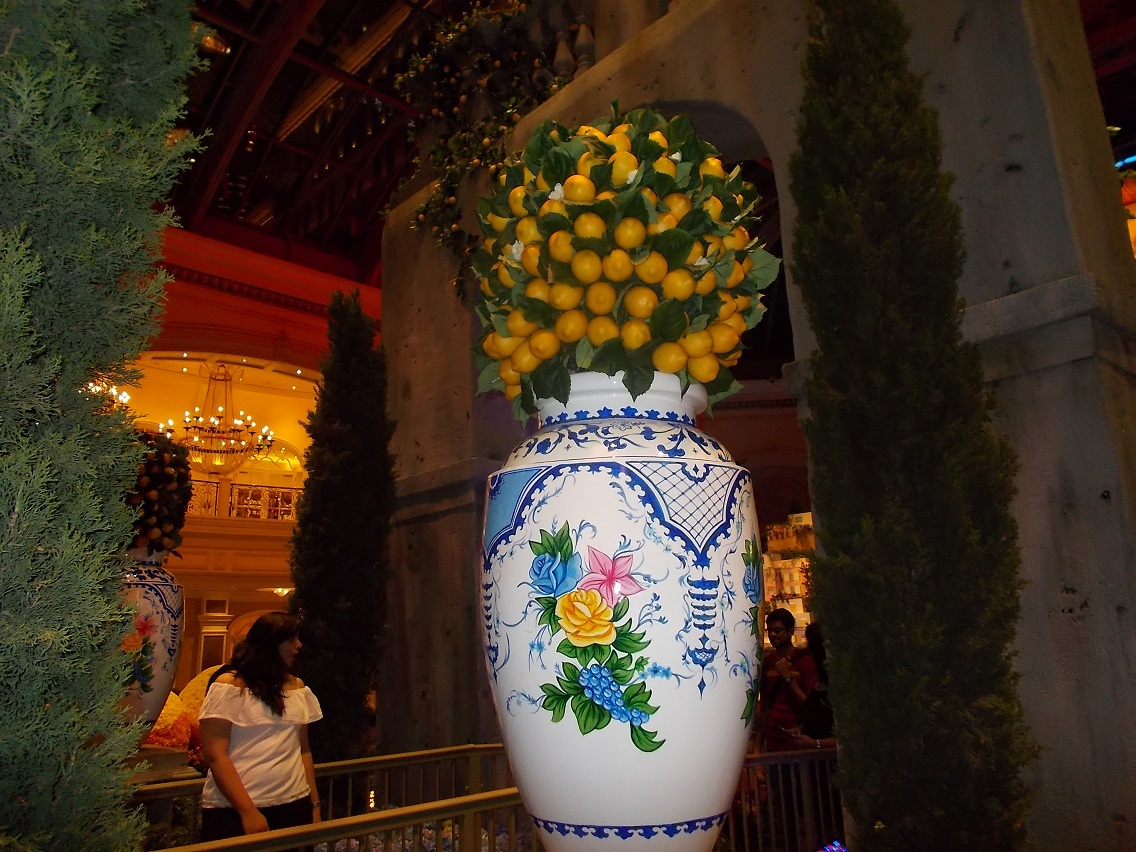 DSCN2343.JPG
