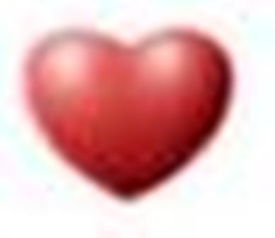 heart.jpg
