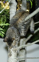 5DA_4791-20.jpg