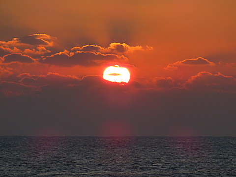 IMG_8098.jpg