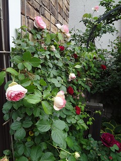 DSC05146.jpg