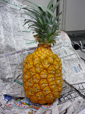 手でちぎって食べられるという