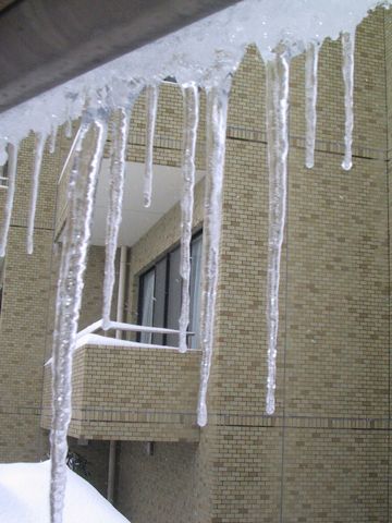 12.02.02天気３.JPG