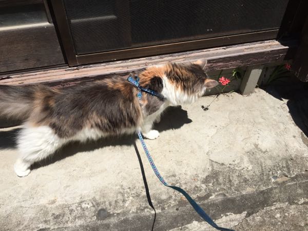 rblog-20150522124859-01.jpg