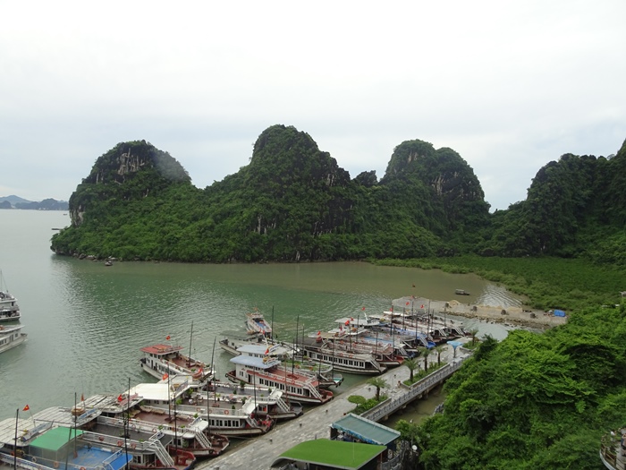 DSC09635_R.JPG