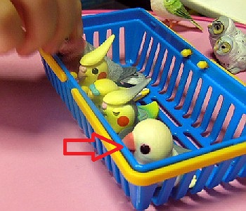 DSCN1224a.jpg