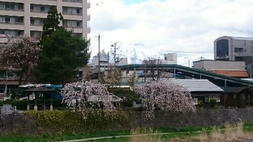rblog-20170425232932-01.jpg