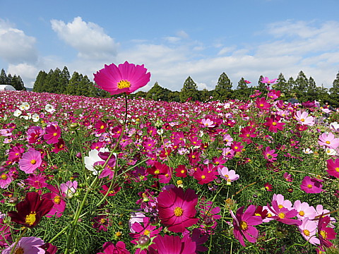 IMG_6092.jpg