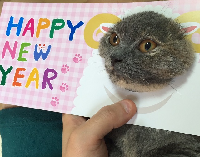 新年の小松