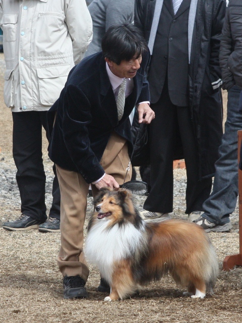 IMG_1130 - コピー.JPG