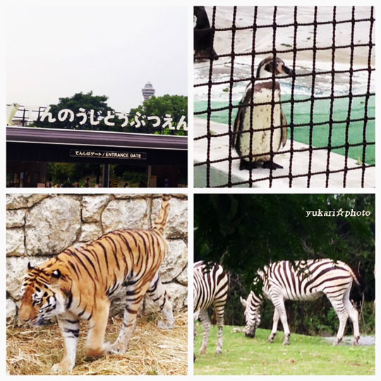 zoo2016080600.jpg