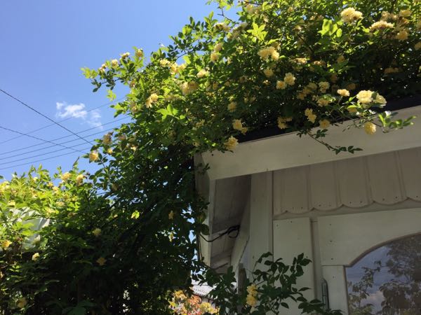 rblog-20180504210609-00.jpg